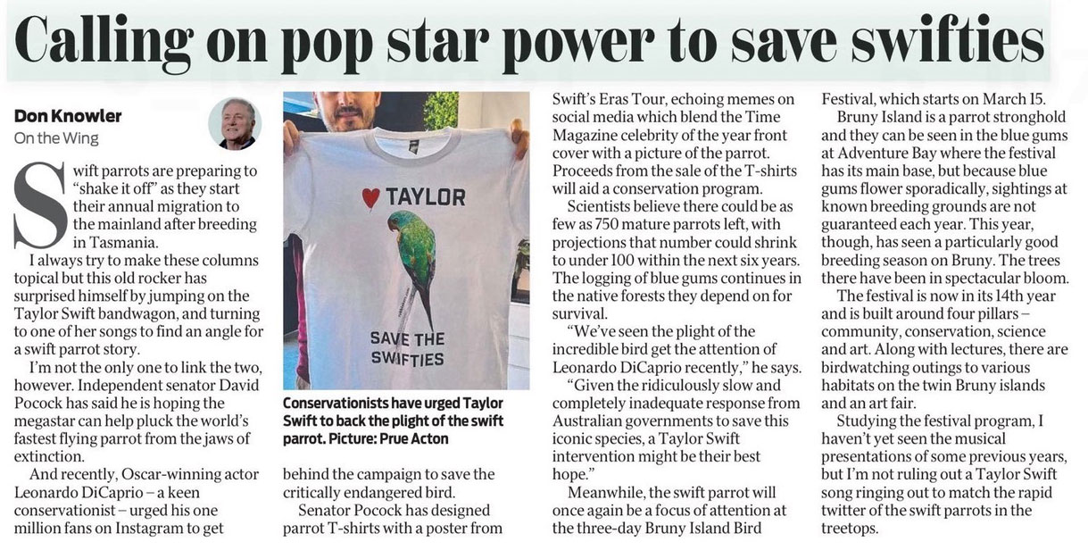 Newspaper article in the Hobart Mercury on March 3, 2024 about saving the Swift Parrot